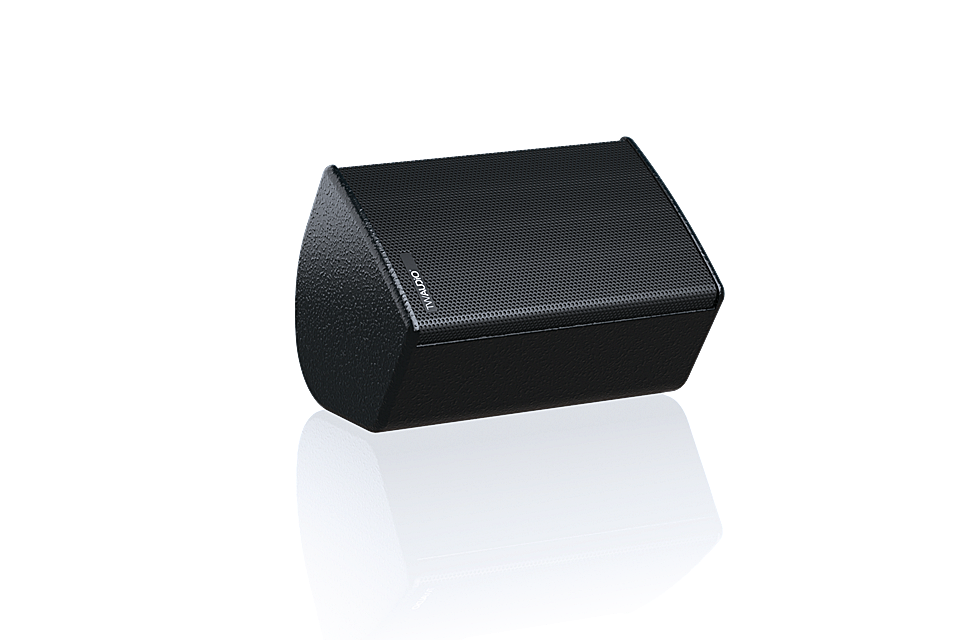 TW Audio C5 Lautsprecher, 250W, 117dB, 100° (2er Set)