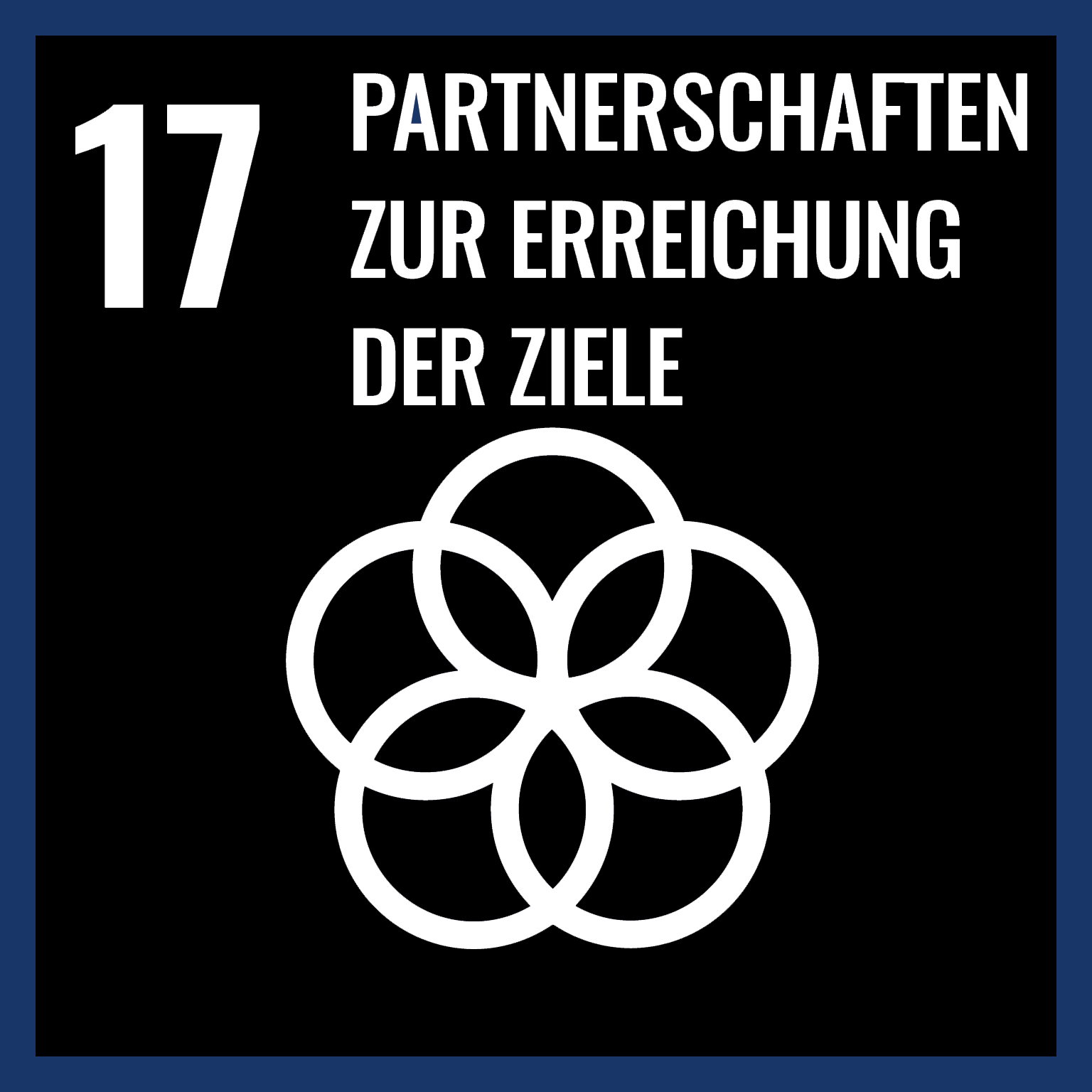 17 - Partnerschaften zur Erreichung der Ziele